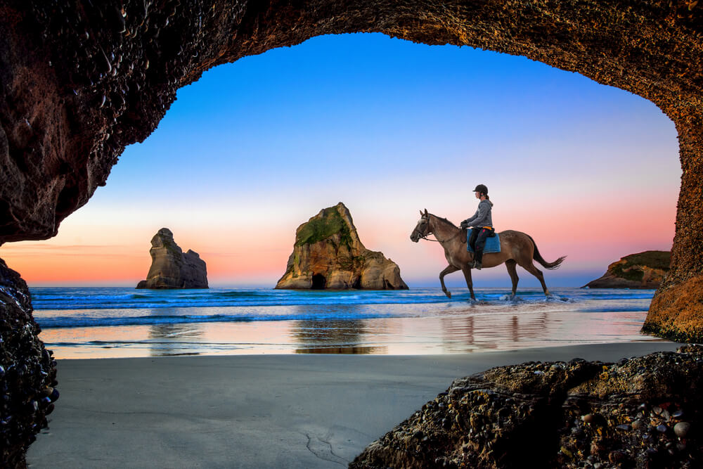 discover the best nz riding holidays with our comprehensive guide. explore top equestrian trails, horseback tours, and essential tips for an unforgettable new zealand adventure.
