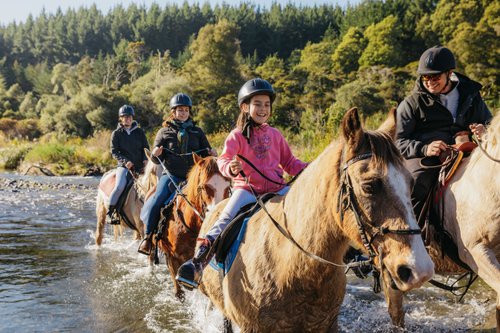 discover the ultimate nz riding holidays guide – explore top horseback adventures, guided tours, and travel tips for unforgettable equestrian experiences across new zealand.