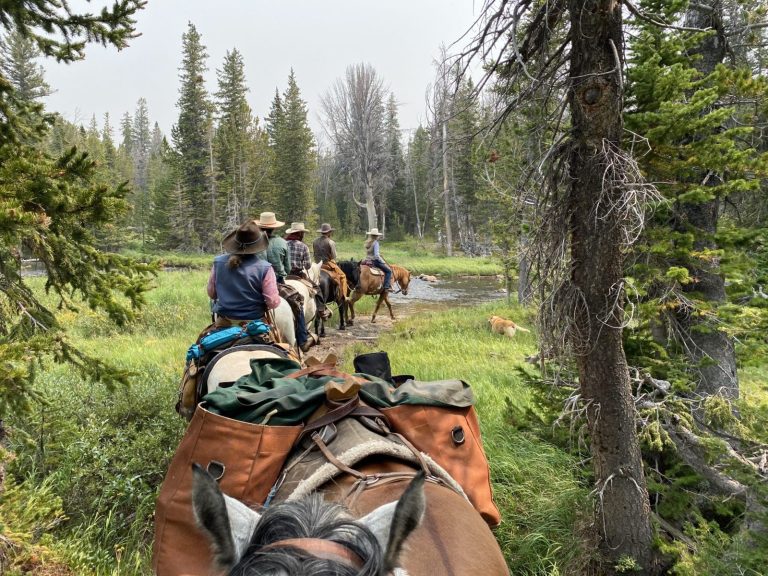 discover essential tips and must-have items for packing efficiently for your warm-weather horseback riding trip. ensure comfort, safety, and style on your next sunny adventure.