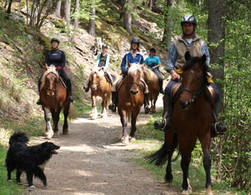discover exclusive private riding tours designed for all skill levels. enjoy personalized horseback adventures with expert guides through stunning landscapes. book your unforgettable riding experience today!