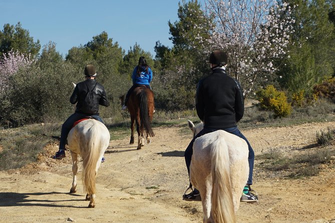 experience unforgettable private riding tours, tailored to your skill level and interests. explore scenic landscapes on horseback with expert guides, ensuring comfort, safety, and personal attention for an exclusive adventure.