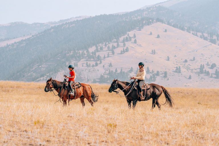 experience the adventure of ranch stays with horseback riding. enjoy scenic trails, comfortable accommodations, and a true western getaway perfect for families, couples, and solo travelers.