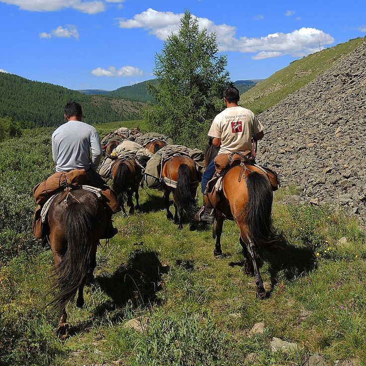 embark on unforgettable remote horseback adventures. discover hidden trails, breathtaking landscapes, and unique riding experiences off the beaten path. perfect for thrill-seekers and nature lovers alike.