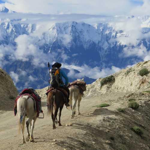 discover unique remote horseback adventures around the world. explore breathtaking landscapes, connect with nature, and experience unforgettable journeys on horseback far from the crowds.