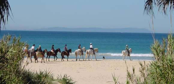 experience the ultimate riding holiday escape with breathtaking trails, expert guides, and unforgettable adventures. perfect for horse lovers seeking relaxation and excitement in nature.