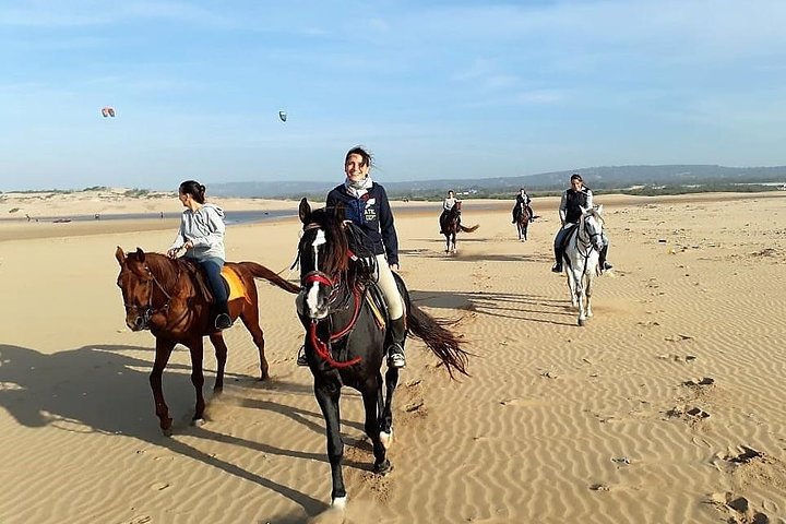 discover a variety of riding levels and tours tailored for beginners to advanced riders. explore scenic routes, expert guides, and unforgettable equestrian experiences.