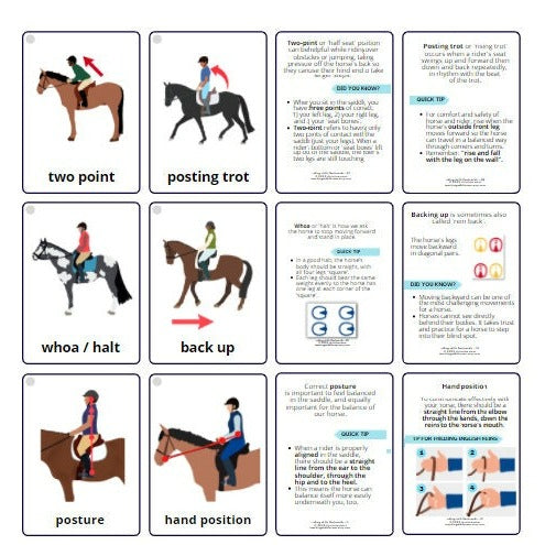 discover essential riding skills tips to improve your technique, boost your confidence, and ensure safety whether you’re a beginner or an experienced rider.