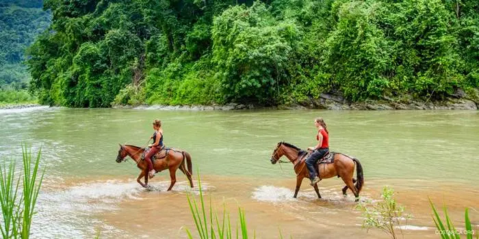 explore breathtaking riding trips featuring scenic rivers and majestic waterfalls. discover unforgettable adventures for nature lovers and thrill seekers alike.