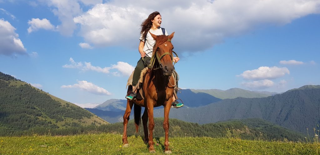 discover the best of sightseeing and equestrian tours: explore stunning landscapes, historic sites, and unique horseback adventures for unforgettable travel experiences.