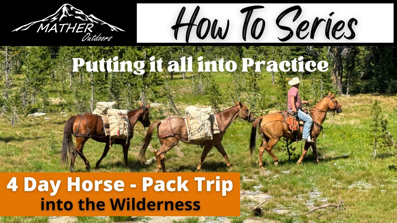 discover the thrill of solo horseback riding trips. explore stunning landscapes, gain confidence, and enjoy the freedom of adventure on your own unique equestrian journey.