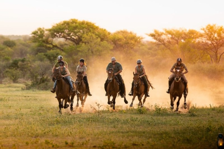 discover the freedom of solo horseback riding trips with tips for planning, top destinations, safety advice, and inspiration for your next riding adventure—all tailored for independent equestrian travelers.