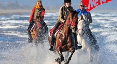 discover unforgettable spring equestrian escapes with inspiring horseback riding adventures, scenic trails, and luxurious retreats perfect for horse lovers of all levels.