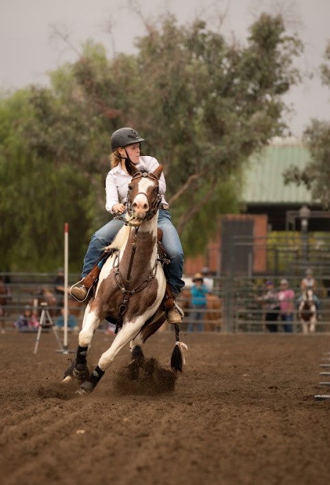discover exciting student equestrian trips! join unique horseback adventures tailored for students, combining riding lessons, fun activities, and cultural experiences. book your unforgettable equestrian journey today.