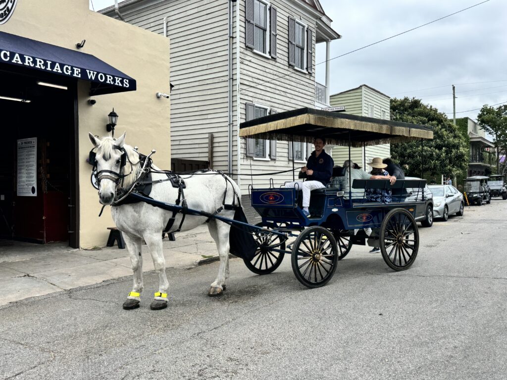 discover tips and ideas for sustainable horse travel. learn how to reduce your environmental impact while exploring the world on horseback with eco-friendly practices and responsible riding.