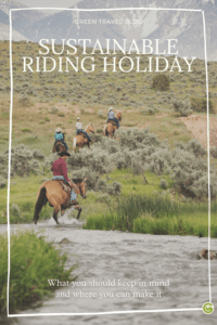 discover eco-friendly tips and practices for sustainable horse travel. learn how to minimize your environmental impact while enjoying responsible equestrian adventures.