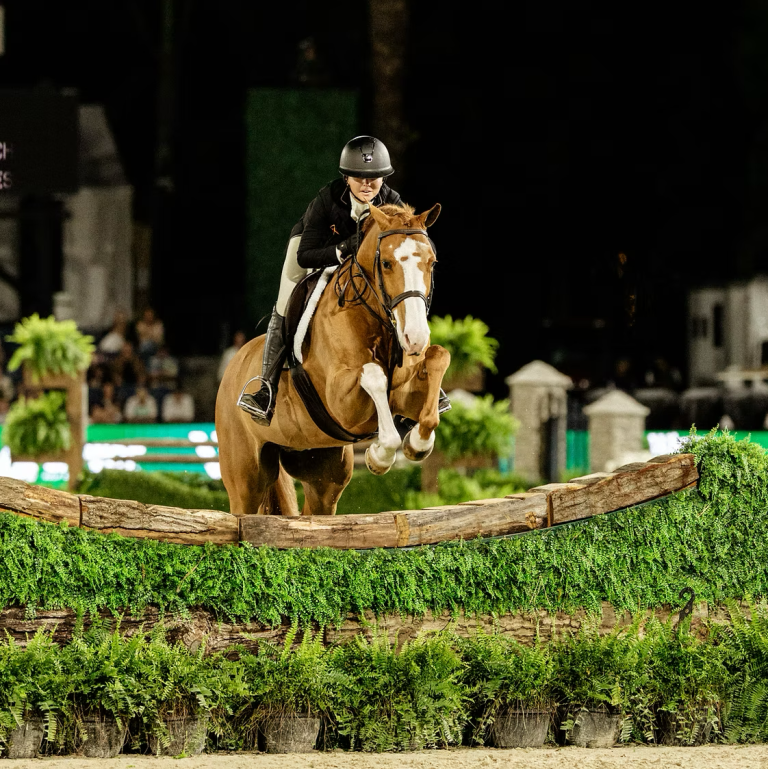 discover the world’s top equestrian festivals, featuring thrilling competitions, spectacular horse shows, and unforgettable cultural experiences for horse lovers and enthusiasts everywhere.