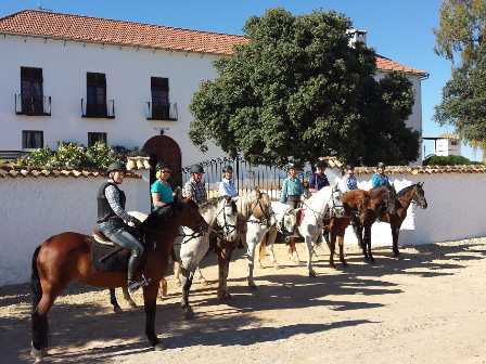 discover the best horseback riding trails in europe with our top picks for scenic routes, unforgettable landscapes, and unique equestrian experiences. plan your next adventure today!