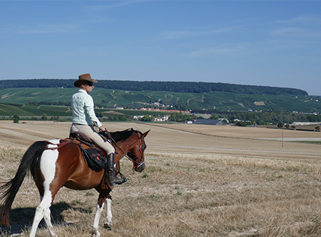 discover the best horseback riding trails in europe, from scenic countryside paths to breathtaking mountain routes. explore top equestrian destinations perfect for riders of all levels.