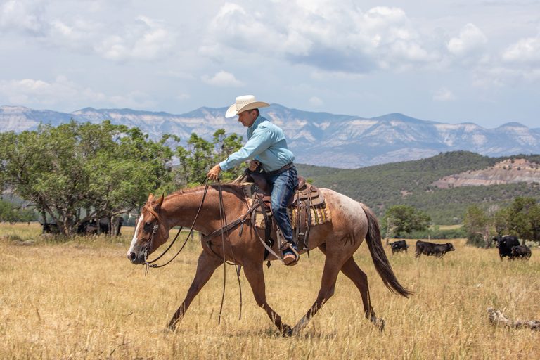 discover the key differences between a trail and a ranch, including uses, environments, and benefits, to help you choose the best outdoor experience for your next adventure.