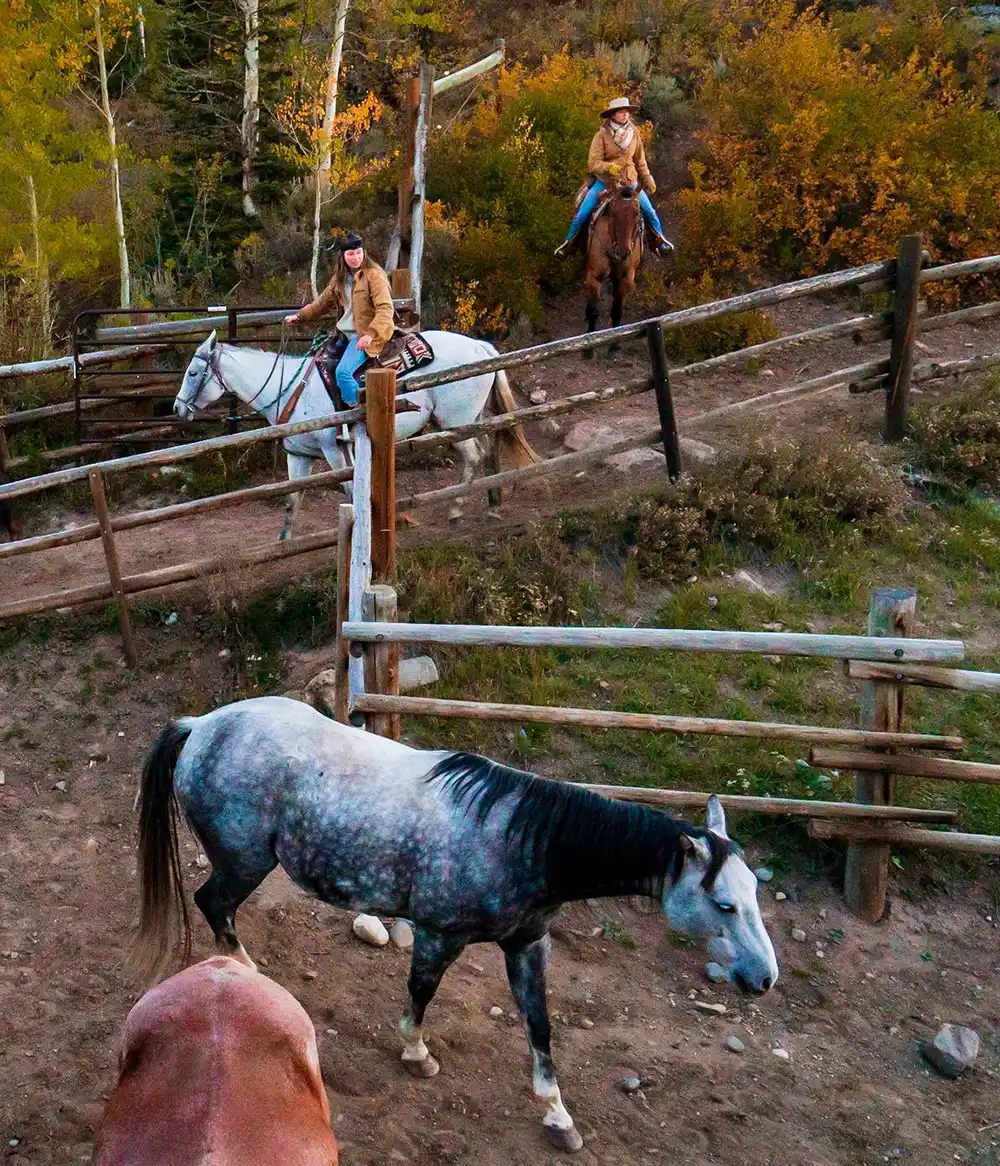 compare trail and ranch: discover key differences in lifestyle, activities, and environment to help you choose the best fit for your outdoor adventure or new home.