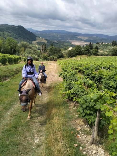 experience the beauty of sprawling vineyards on a scenic horseback tour. enjoy guided rides, breathtaking landscapes, and wine country adventures perfect for all skill levels.