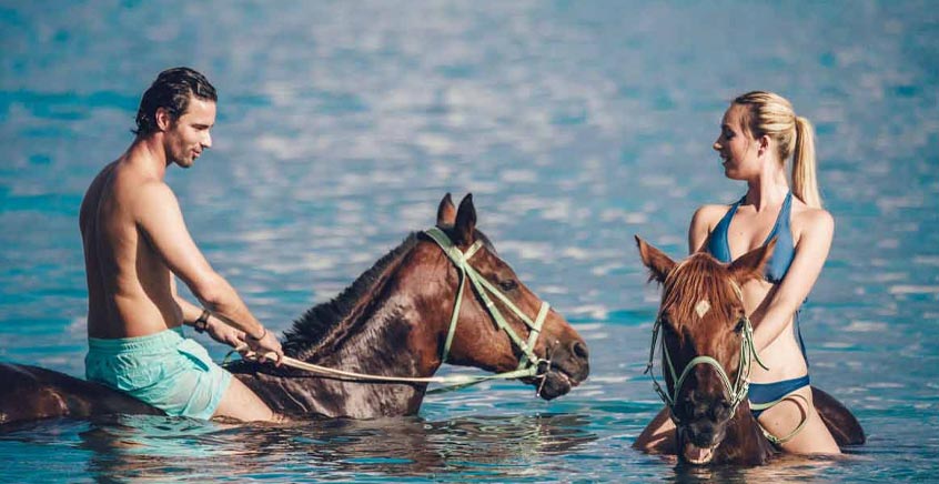 experience ultimate relaxation and adventure with our wellness spa retreats featuring horse riding. enjoy rejuvenating spa treatments, beautiful scenery, and guided horseback excursions for a unique getaway.