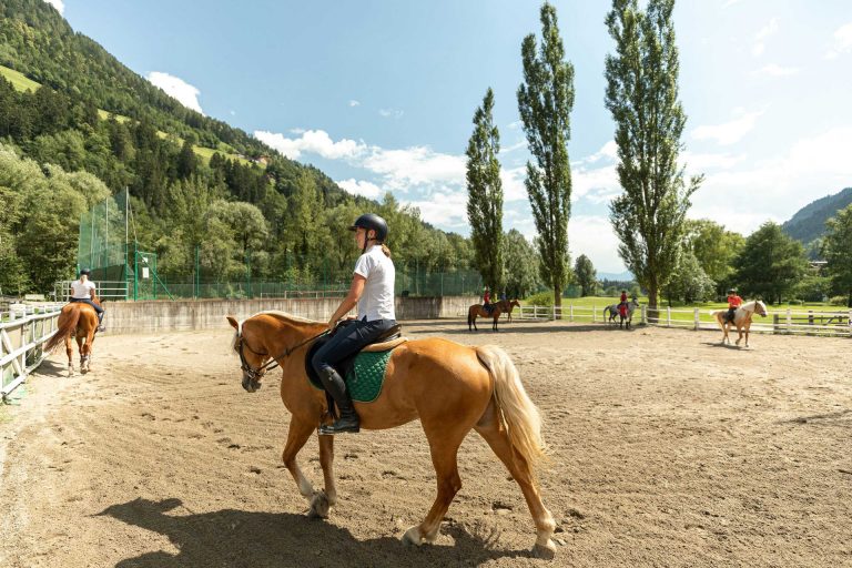 discover rejuvenating wellness spa retreats that offer horse riding experiences. unwind in tranquil settings, enjoy luxurious spa treatments, and embark on scenic equestrian adventures for a holistic getaway.