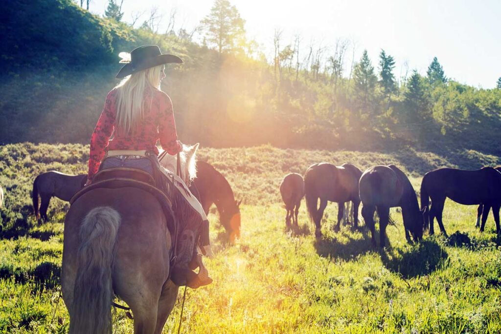 discover unforgettable western riding vacations! enjoy horseback adventures, scenic trails, and authentic cowboy experiences at top ranch destinations. book your western getaway today.