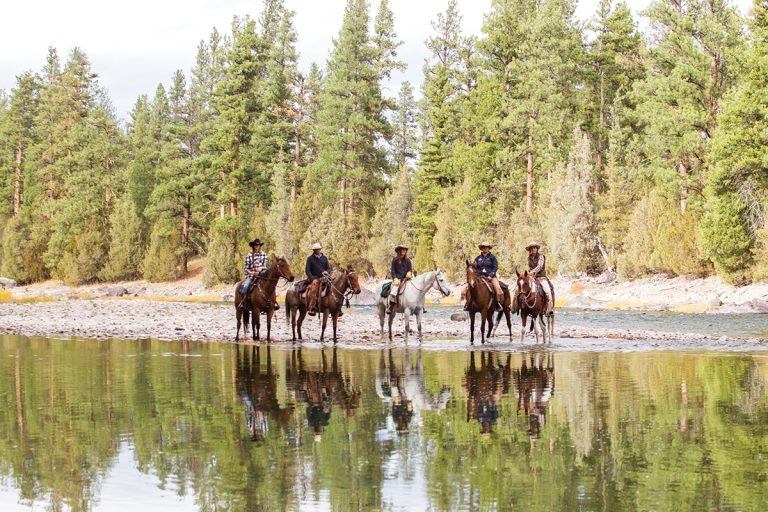 discover the thrill of western riding vacations. enjoy authentic horseback adventures, explore scenic trails, and experience true cowboy culture in unforgettable destinations. perfect for riders of all levels.