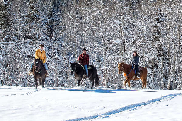 experience the magic of winter with unforgettable riding holidays. discover scenic snowy trails, cozy accommodations, and unique adventures for all skill levels. book your perfect winter equestrian getaway today!